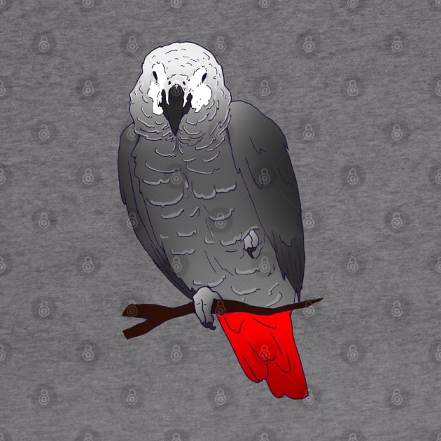 African Grey Parrot Perching and Sleeping on a Branch by Einstein Parrot